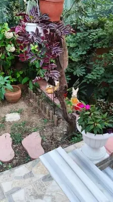 a garden with potted plants and a vase with flowers at A beautiful house on the Bosphorus in a wonderful garden in Istanbul