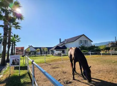 a horse grazing in a field next to a fence at Serbesler Botanik, No 2 Mini House in Sakarya