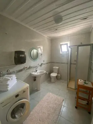 a bathroom with a toilet sink and a shower at Serbesler Botanik, No 2 Mini House in Sakarya