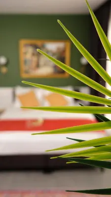 a stack of books sitting on a table with green leaves at Zulu Suites in Istanbul