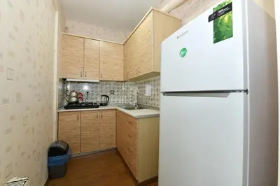 a kitchen with a white refrigerator and wooden cabinets at Nasiroglu Apartment in Istanbul
