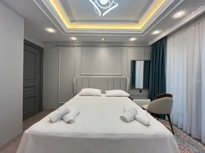 a bedroom with a large bed with two white pillows at Ruzi's House in Istanbul