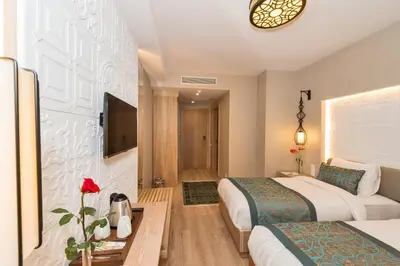a hotel room with two beds and a tv at Aybar Hotel & Spa in Istanbul