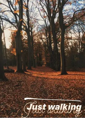 a forest of trees with leaves on the ground at Rahat bahçeli polonezköyde butik evimiz in Beykoz