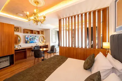 a bedroom with a bed and a desk and a television at Harmony Hotel Istanbul & SPA in Istanbul