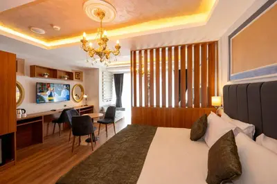 a bedroom with a bed and a desk and a television at Harmony Hotel Istanbul & SPA in Istanbul