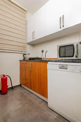 a kitchen with a stove and a microwave at Algold in Istanbul