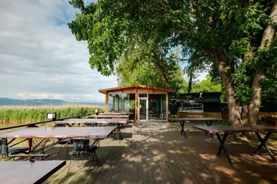 a group of picnic tables in front of a building at Meca Deluxe Otel Sapanca in Sapanca