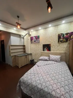 a bedroom with a bed and a desk in it at Müstakil bina in Istanbul