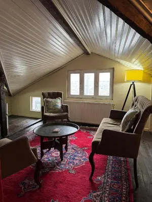 a living room with a couch and chairs and a table at Roza's Istanbul Homestay in Istanbul
