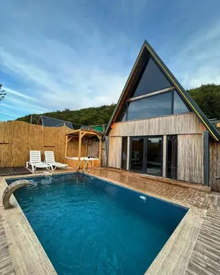 a house with a swimming pool in front of a house at DREAM DELUXE SAPANCa in Sapanca