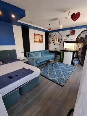 a bedroom with a bed and a couch and a fan at Mavi köşk in Bursa