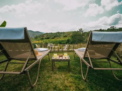 two chairs and a table in the grass at Casa Vera Villa in Sakarya