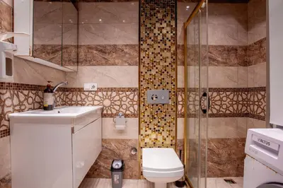 a bathroom with a shower and a toilet and a sink at Mutlu flat in Istanbul