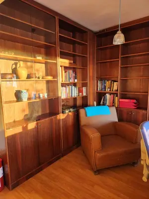 a living room with a couch and book shelves at Stunning 1BR w Sea View close to Galataport ! in Istanbul