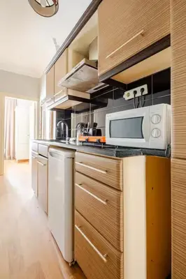 a kitchen with a microwave and a stove top oven at Raya Cihangir Suites in Istanbul