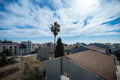 a city with a palm tree and a building at SULTANAHMET oldcity nice suite in Istanbul