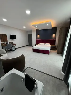 a hotel room with a bed and a bath tub at Trio Palace in Istanbul