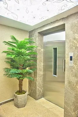 a palm tree in a hallway next to a elevator at Best Fulya Suites in Istanbul