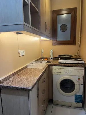 a small kitchen with a washing machine and a sink at Taksim White Mansion Hotel in Istanbul