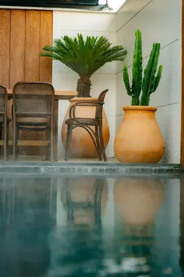 two plants in vases next to a table and chairs at Saman Villas in Kadıköy