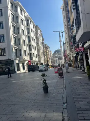 a city street with tall buildings and a sidewalk with a plant at Murat bey konağı in Istanbul