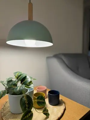a wooden table with a potted plant and a lamp at Gezgin Residence in Istanbul