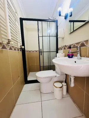 a bathroom with a toilet and a sink at Blue Star Apartments Old City Center in Istanbul