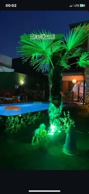 a palm tree is lit up with green lights at Lina Garden Villa in Sapanca