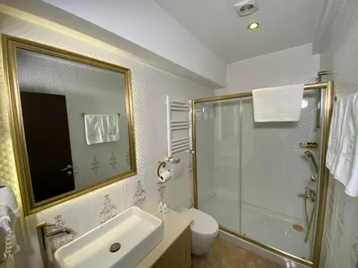 a bathroom with a shower and a sink and a toilet at Four Doors Hotel in Istanbul