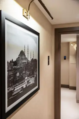 a picture of a mosque hanging on a wall at Emilion Hotel in Istanbul