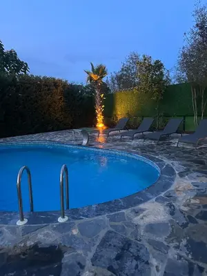 a swimming pool with chairs and a palm tree at Luxury Big Villa in Sapanca with Pool SKMaxx in Sapanca