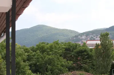 a view of trees and mountains from a house at Lena Central Flats in Bursa