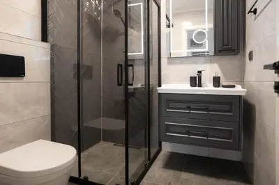 a bathroom with a shower and a toilet and a sink at Forest Inspired Designed 1BR Luxury Flat In Tomtom in Istanbul