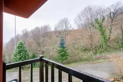 a view from the balcony of a cabin with christmas trees at Villa Sapanca in Sapanca