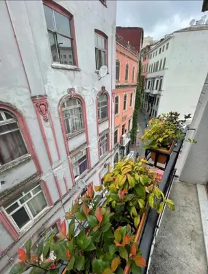 a plant in a pot in front of a building at elegance famıly house in Istanbul
