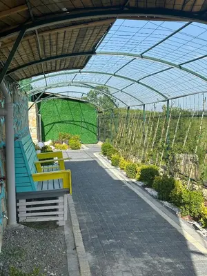a greenhouse with a yellow bench and some plants at Gölköy Bungalov Kandıra in Kandıra
