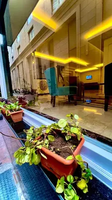 a group of plants in a pool in a building at PERA ARYA Hotel in Istanbul