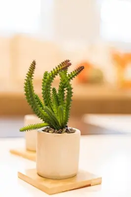 a green plant in a white pot on a table at Stylish 1BR with Prime Location and Bold Design in Istanbul