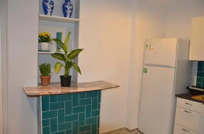 a kitchen with a counter with plants and a refrigerator at Taksim Green Flat Apartment in Istanbul
