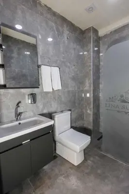 a bathroom with a toilet and a sink and a mirror at Lina Suit Hotel in Istanbul