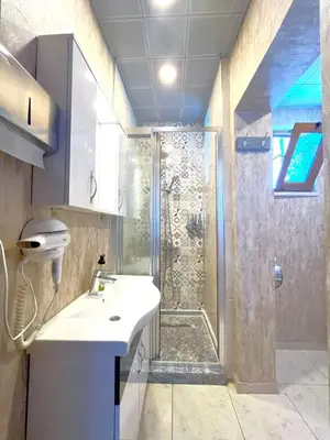 a bathroom with a shower and a sink and a toilet at Flex Pera in Istanbul