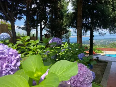 a garden with purple flowers and a view of the ocean at Manzara Ödüllü Büyük Havuzlu Premium Villa in Dibektaş