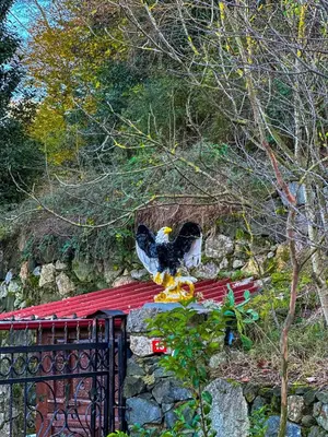 two birds sitting on top of a fence at Sapanca Villa Şen 2 in Sapanca