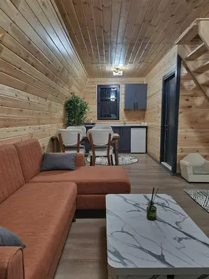 a living room with a couch and a table at Sapancasadembungalov in Sapanca