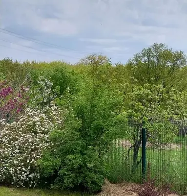 a fence in front of a field of flowers at Meşeliev Pansiyon in Demirköy