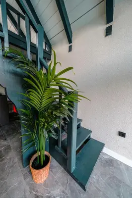 a plant in a pot next to a staircase at MoonSA Boutique Villas in Sapanca