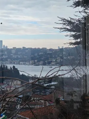 a view of a city and a body of water at An Istanbul tale, an Istanbul dream, garden house in Istanbul