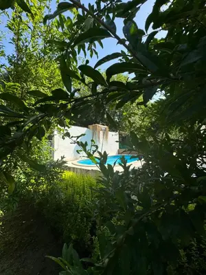 a house seen through the leaves of trees at Sapanca Bizim Konak in Sapanca
