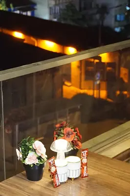 a table with two potted plants on top at Emir City Hotel in Bursa